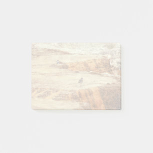 Killdeer Post-it Notes