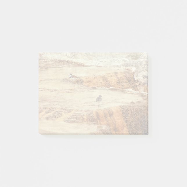 Killdeer Post-it Notes (Front)