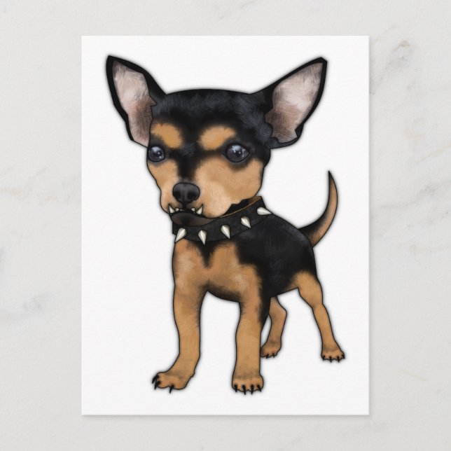 Killer Chihuahua Postcard (Front)