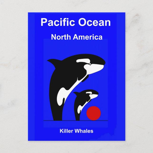 Killer Wales Postcard (Front)