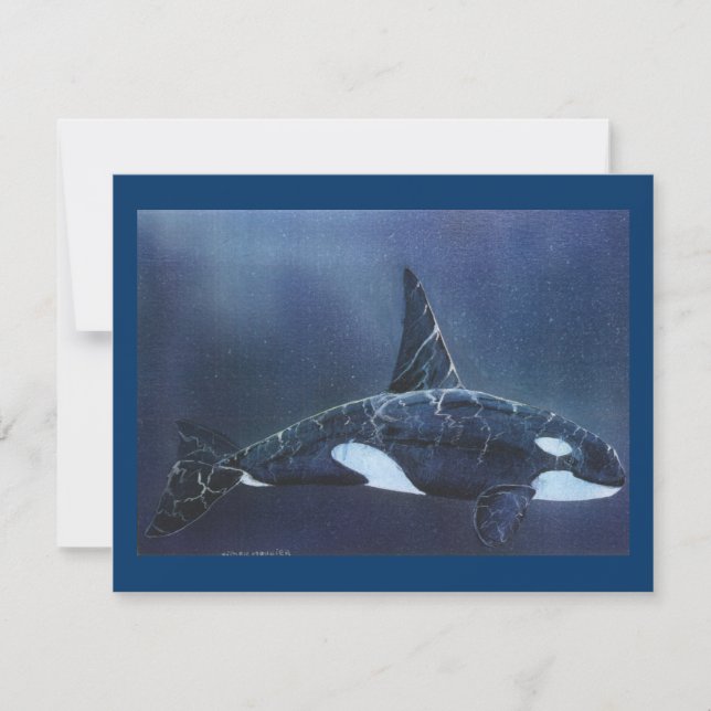 Killer Whale (Front)
