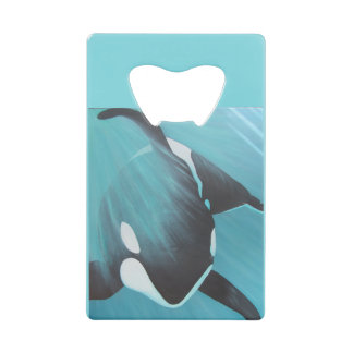 Killer Whale