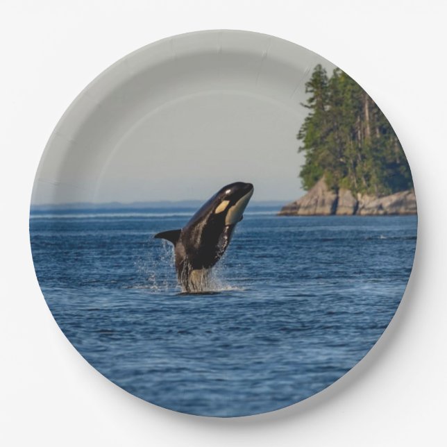 Killer Whale Breaching out of Ocean Water Paper Plate (Front)