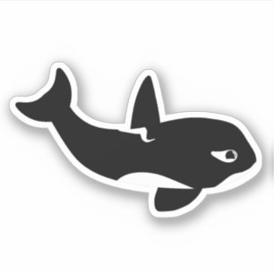 Killer Whale Cartoon - Cute