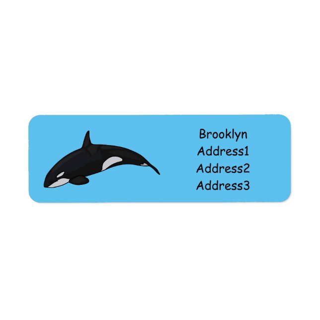 Killer whale cartoon illustration (Front)