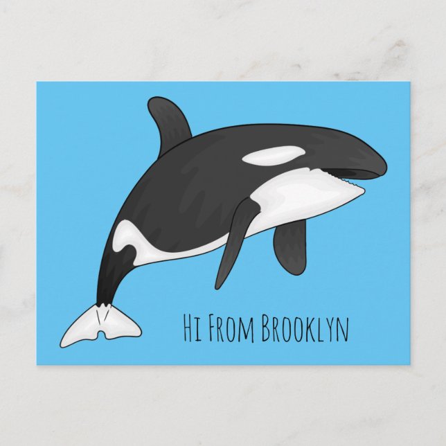 Killer whale cartoon illustration postcard (Front)