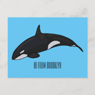 Killer whale cartoon illustration postcard
