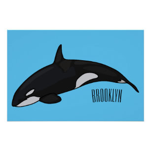 Killer whale cartoon illustration poster