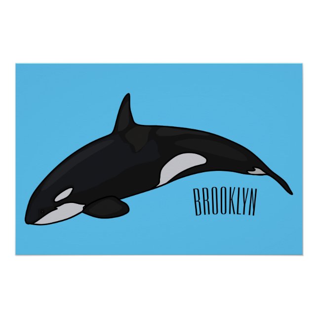 Killer whale cartoon illustration poster (Front)