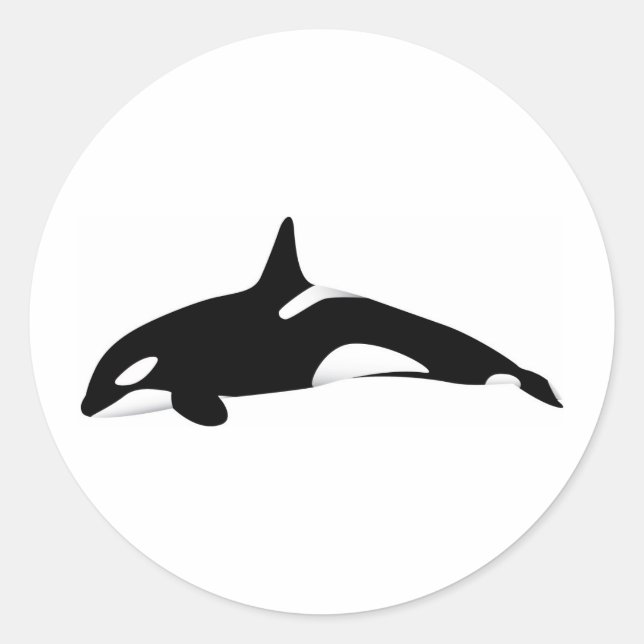 Killer Whale Classic Round Sticker (Front)