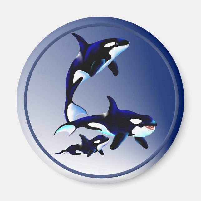 Killer Whale Family Magnets (Front)