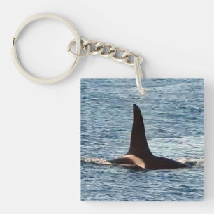 Killer Whale Fin "Aquarius" Orca  Key Ring