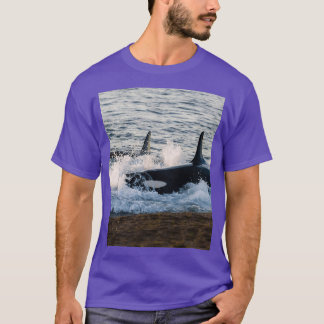 Killer whale hunting on the beach T-Shirt