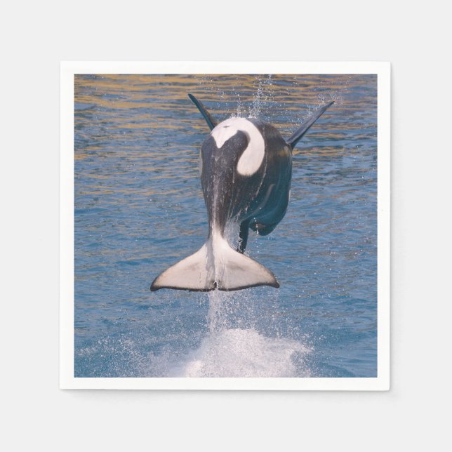 Killer whale jumping out of water napkin (Front)