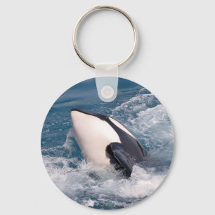Killer whale key ring