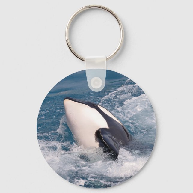 Killer whale key ring (Front)