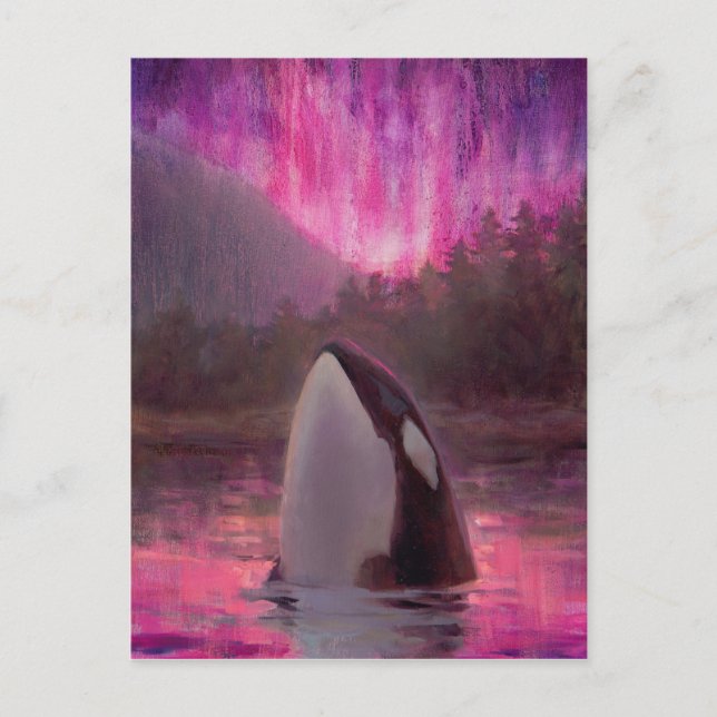 Killer Whale Orca and Pink/Magenta Northern Lights Postcard (Front)