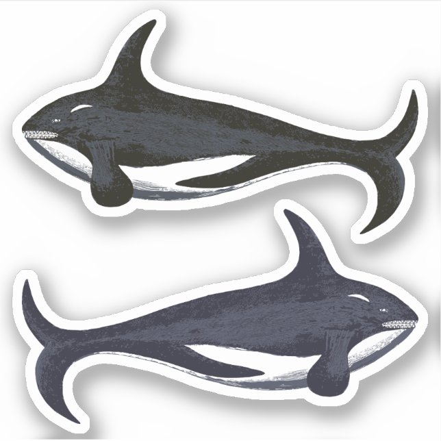 Killer Whales (Front)