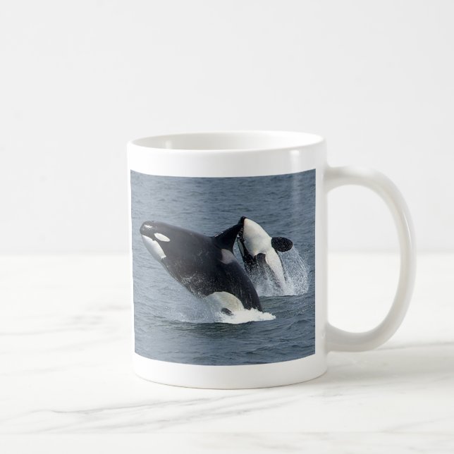 killer whales coffee mug (Right)