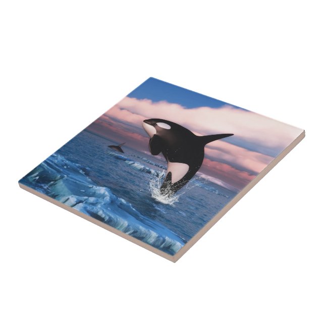 Killer whales in the Arctic Ocean Tile (Side)