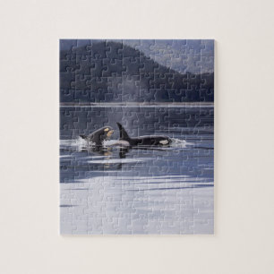 Killer Whales Jigsaw Puzzle