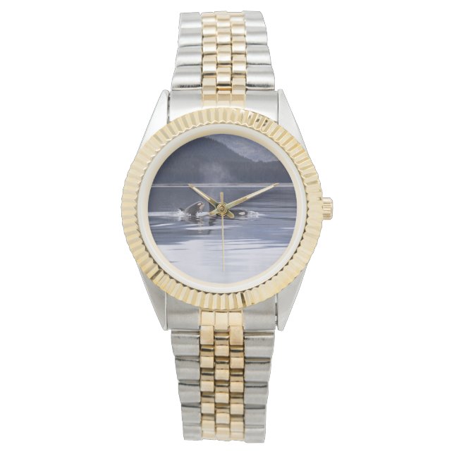 Killer Whales Watch (Front)