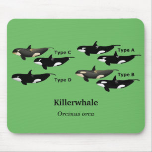 Killerwhale , Orcinus orca Mouse Pad