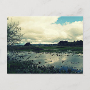 Killin Wetlands Reflection Postcard