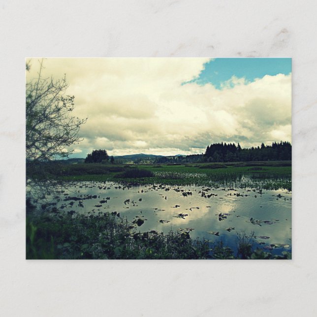 Killin Wetlands Reflection Postcard (Front)