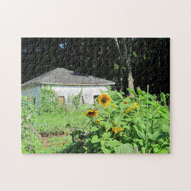 Killingworth Shed Puzzle (Horizontal)