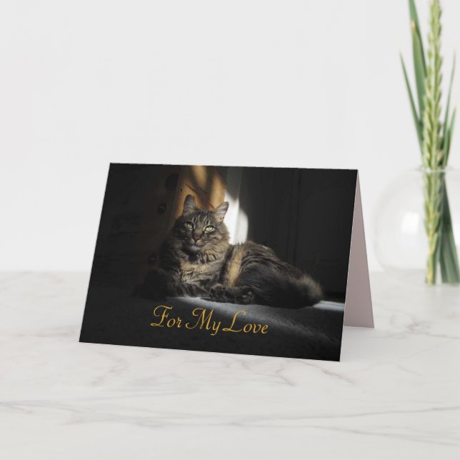 Kimber Cat Slivers of Sunlight Anniversary Card (Front)