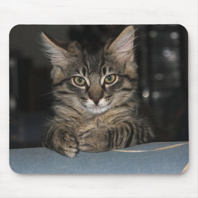 Kimber Kitty's "Oh Really?" Mouspad Mouse Pad (Front)