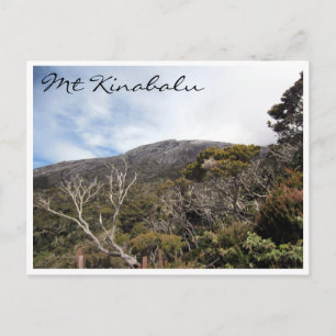 kinabalu vegetation postcard