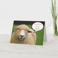 Kind Thoughtful Sheep Birthday
