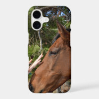 "Kind Touch: Bonding with a Gentle Brown Horse"