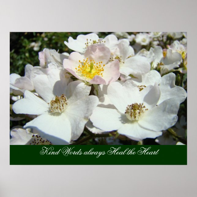Kind Words always Heal the Heart art prints Roses (Front)