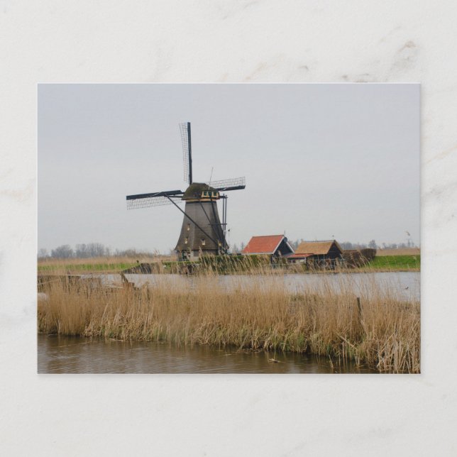 Kinderdijk Windmill Holland Postcard (Front)