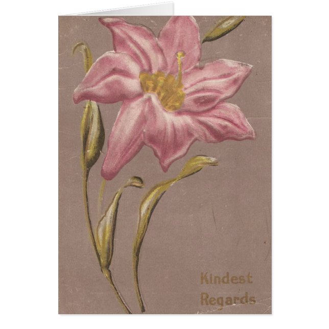 Kindest Regards (Front)