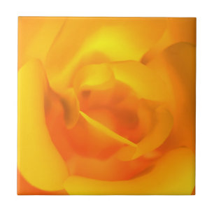 Kindled Rose Decorative Tile / Trivet