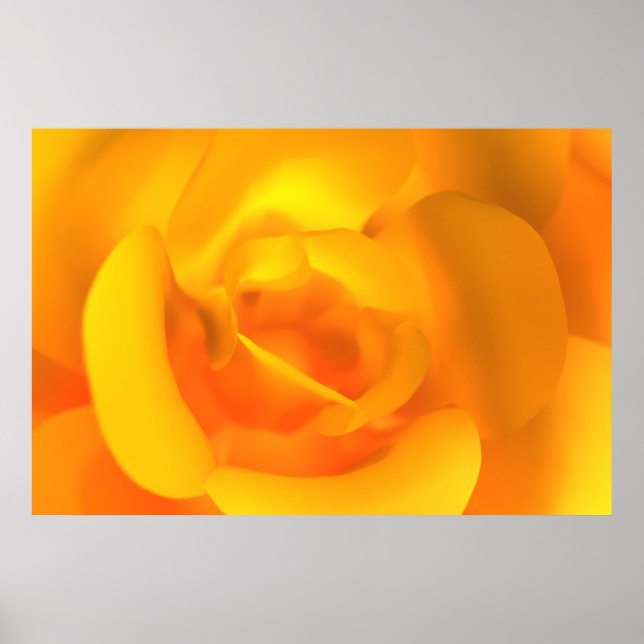 Kindled Rose Print (Front)