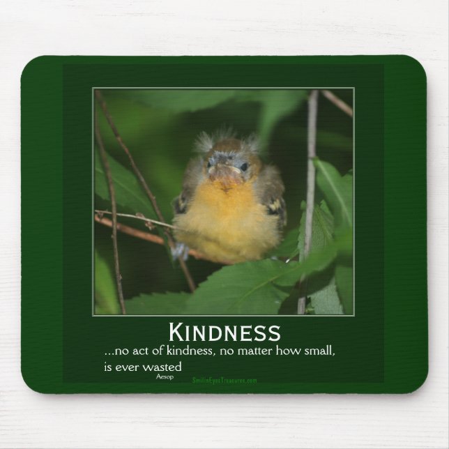 Kindness Baby Oriole Motivational Mousepad (Front)