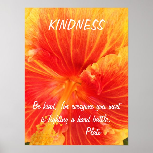 Kindness Inspirational Poster Quote Plato Hibiscus (Front)