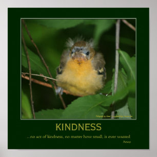 Kindness Inspirational Quote Baby Oriole  Poster