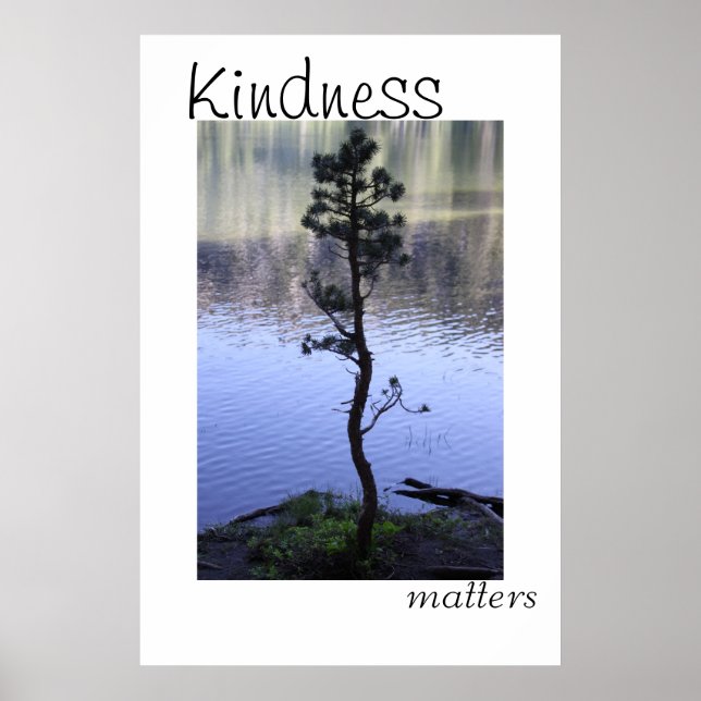 Kindness Matters Poster (Front)