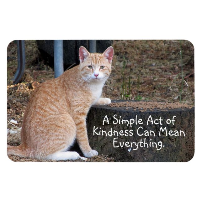 Kindness Orange Tabby Cat Magnet (Horizontal)