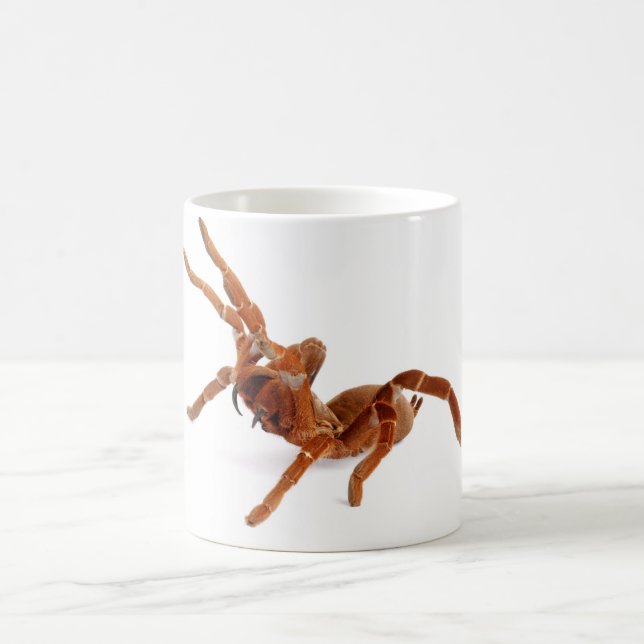 King Baboon Tarantula. Coffee Mug (Center)