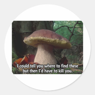King Bolete - I'd Have to Kill You Classic Round Sticker