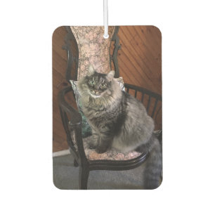 King Cat Kimber Car Air Freshener