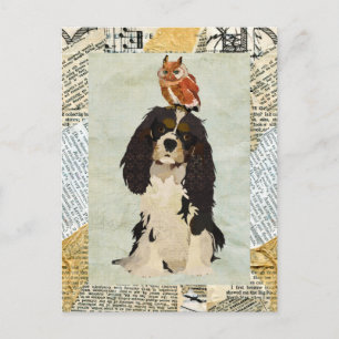 King Cavalier & Owl Postcard