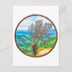 King Cervus Postcard